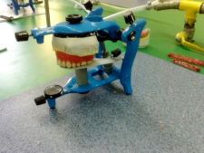 Bartek’s models in the articulator.