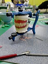 First complete wax dentures in the articulator – modelled and prepared for flasking by Michal.