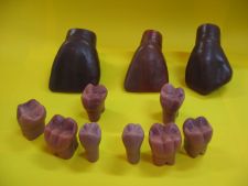 Teeth made of wax 