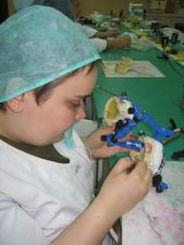 Modeling of plates and wings of functionally stable dentures in wax. Student: Agnieszka Purchała