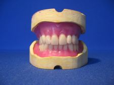Positioning of teeth VITA PAN