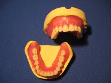 Positioning of teeth VITA PAN