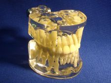 Orthodontics