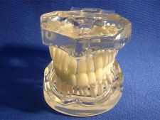 Orthodontics