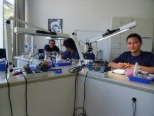 Słuchacze Studium KM Dental przy pracy.