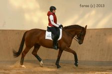 Amazonka – Adrianna – Ada