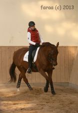 Amazonka – Adrianna – Ada