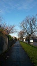 20140218_082644.jpg