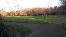 20140304_172718.jpg