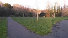 20140304_173025.jpg