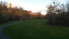20140304_174016.jpg