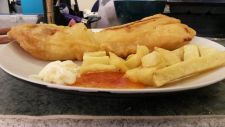 Codfish